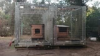 THOMPSON'S KENNEL IF IT AIN'T BROKE DONT FIX IT