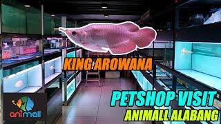 Petshop Visit - Animall Alabang By Abet Verches