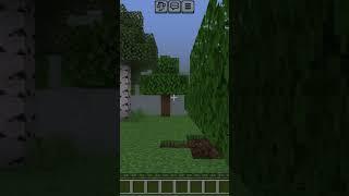 I discovered how to get to seed 0 on minecraft