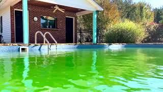 HTH 67032 Super Algae Guard Swimming Pool Algaecide Cleanser