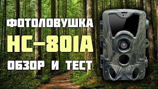 Фотоловушка HC-801A. Обзор и тест.