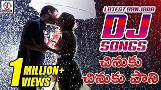 Latest Banjara DJ Songs | Chinuku Chinuku Pani DJ Song | Lalitha Audios And Videos