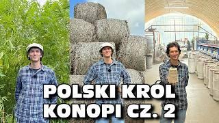 „Polski król konopi” cz. 2 - Od ziarenka do wieszaka -  Maciej Kowalski, Kombinat Konopny