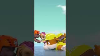 Nice catch Zuma - Paw patrol