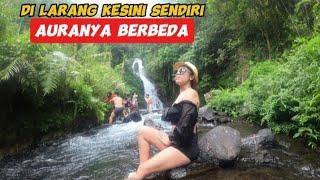 menemukan lagi air terjun di dalam hutan || dedari waterfall