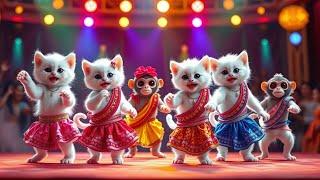 Cat & Monkey Dance Show #003  | Funniest Video Ever! #funnycat #dancingmonkey
