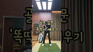 골프 입문 똑딱이 배우기 #똑딱이 #골프기초 #골프입문 #골프레슨 #김형구프로 #형구형TV
