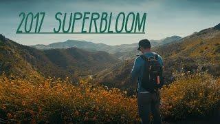 Panasonic GH5 - 2017 Superbloom Adventure