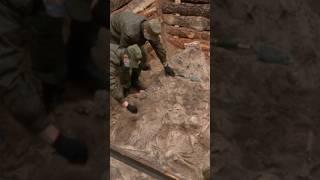 Место расстрела мирных жителей нашли под Веткой  #гомель #новости #новостигомель #новостигомеля