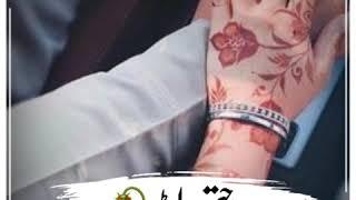 Saraiki Mahiye || Saraiki Whatsapp Status || Whatsapp Status 2020 || Hamza Writes