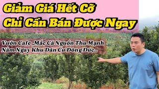 Lô đất giá rẻ đây rồi . 1,7ha cà phê + mắc ca .vị trí ngay khu dân cư đông đúc. ao cá to