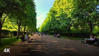 4K London Walking Tour | Regent’s Park to Camden Town on a Cozy Sunday