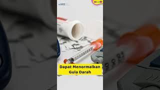 5 Manfaat Air Rebusan Daun Buah Sirsak yang Dijadikan Teh Baik untuk Kesehatan #Shorts