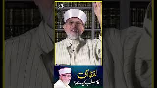 Lafz e Ummi ka Matlab kia hay? | Dr Tahir-ul-Qadri  #minhajulquran #fikr #shortvideo #tahirulqadri