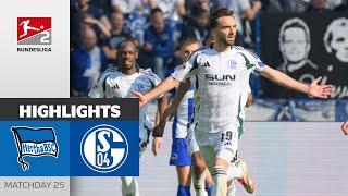 Efficient Schalke Wins It!  | Hertha BSC - FC Schalke 04 1-2 | Highlights | MD 25 - BL 2 2024/25