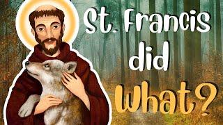 What's the story of St. Francis? | Saintly Creatures Book