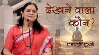 देखने वाला कौन? | Who is the Seer? | Anandmurti Gurumaa