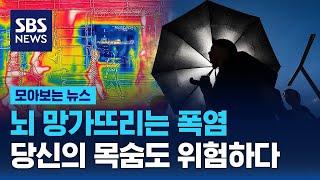 뇌 망가뜨리는 '무서운 폭염'…당신의 목숨도 위험하다 / SBS / 모아보는 뉴스