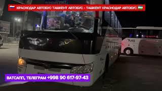 КРАСНОДАР ТАШКЕНТ - ТАШКЕНТ КРАСНОДАР АВТОБУС ДАВЛАТ РЕЙСЛАРИ #КРАСНОДАР #ТАШКЕНТ #АВТОБУС