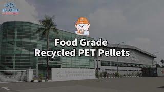 Food Grade Recycled PET Pellets - RPET Granules - Recycled PET Resin | Intco Plastic