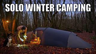 Cold Weather Camping with My Dog - Using a Wood Stove