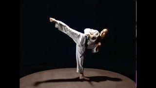 Taekwondo basic kicks