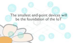ARM Cortex-M23