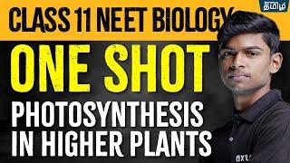 ONE SHOT BIOLOGY: Photosynthesis in Higher Plants| Tony Sir | Xylem NEET Tamil