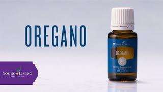 Oregano Essential Oil: Benefits & Uses | Young Living Essential Oils