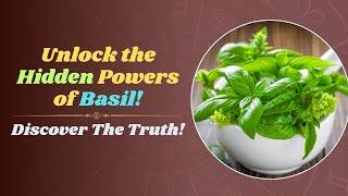 Discover 10 Surprising Health Benefits of Basil You Didn't Know!