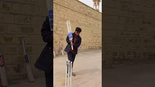 | Cricket Match  |                       #viral #video #shorts