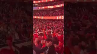 Benfica - Sporting 2:2 15.01.23