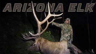 Backcountry Dreams Come True // Public Land Arizona Archery Elk