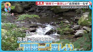 【避暑】“関東で一番涼しい”北茨城市を取材 自然のクーラーを求めた移住者も…【めざまし８ニュース】