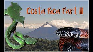 Costa Rica Herping + Birding Part 3 - Monteverde Cloud Forest