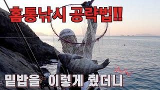 감성돔 홈통낚시에서 마릿수 조과를 부르는 밑밥 운용술