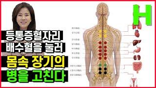 몸이보내는신호(49) 배수혈 : 속병을 고치는 10쌍의 등 혈자리. 척추신경절과 일치하는 배수혈 자극법