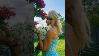ромашка