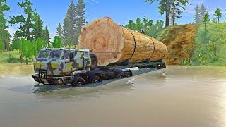 Most Dangerous Logging Jobs in the World