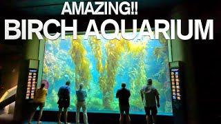 Visiting BEST Aquarium In San Diego BIRCH AQUARIUM AT SCRIPPS LA JOLLA 