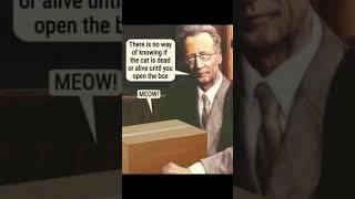 Solving Schrodinger's cat paradox in 6 seconds