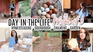 DAY IN THE LIFE STAY AT HOME MOM OF 3 HOMESTEADING // CHICKENS, SOURDOUGH, GARDEN, SLOW CLOTHING