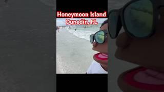 Honeymoon Island Dunedin Florida Walking Tour | Best Florida Beach for all Ages