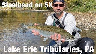 Steelhead on 5X, Lake Erie Tributaries, PA - Wooly Bugged