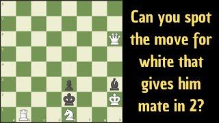 Checkmate in 2 moves