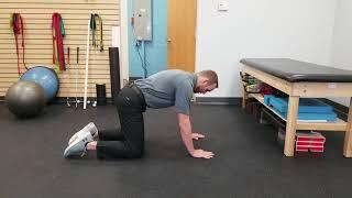 Exercise for Spine Mobility | Cat-Camel