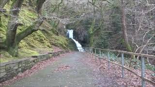 Dolgoch Falls