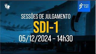 SDI-1 | Assista à sessão do dia 05/12/2024 -  Tarde