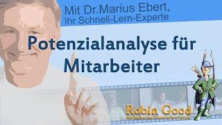 Potenzialanalyse für Mitarbeiter, Beschreibung