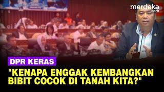 DPR Keras Kritik Kementerian Pertanian Kerjakan Irigasi: Kenapa Lu Enggak Kembangkan Bibit?